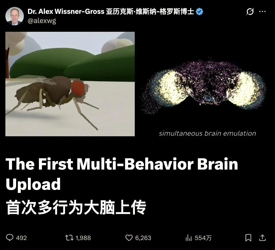Digital fruit fly simulation