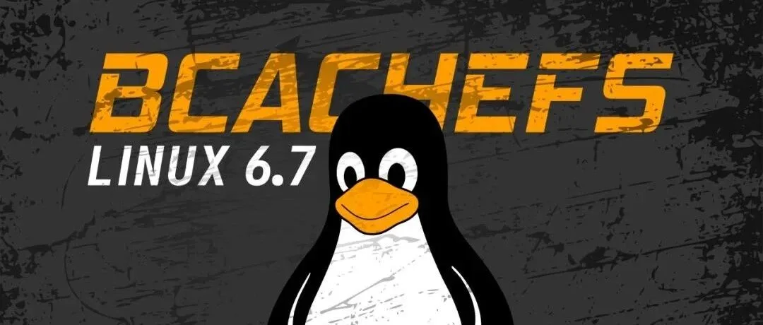 分道扬镳:bcachefs作者对Linus口吐芬芳