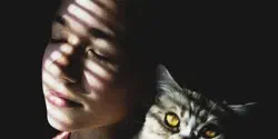 Featured Image for 抄袭代码就是偷东西,抖音别狡辩了